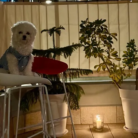 Casa Sun Apartmán Civitanova Marche